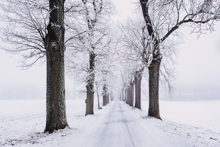 Featured image for “Winter Glamping: The Ultimate Romantic Getaway for Couples”